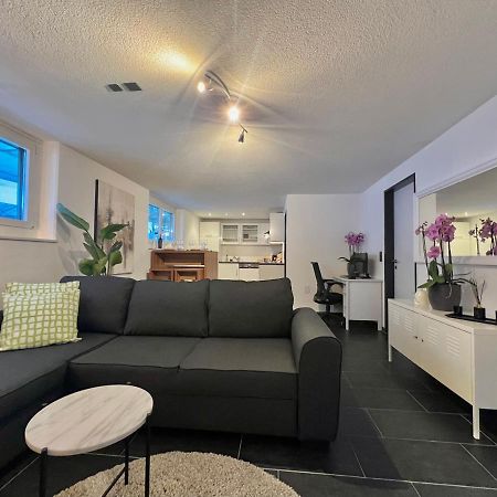 The R Apartment Froburg, Parking, Netflix, Golfplatz Obergosgen Luaran gambar